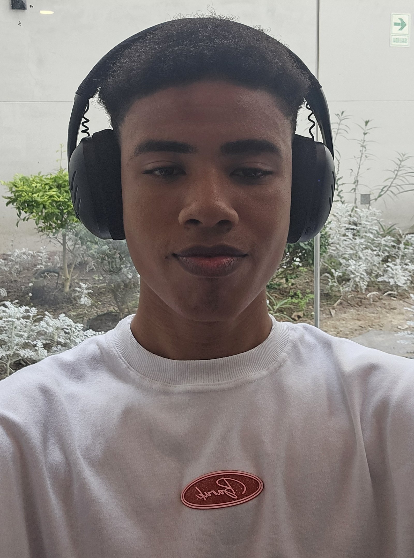 FtPerfil